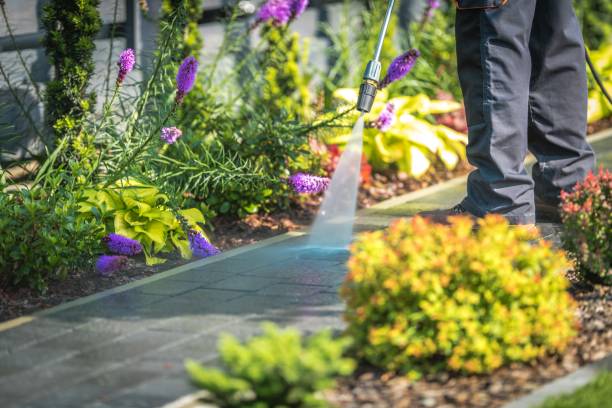 Best Soft Washing for Delicate Surfaces in De Pere, WI