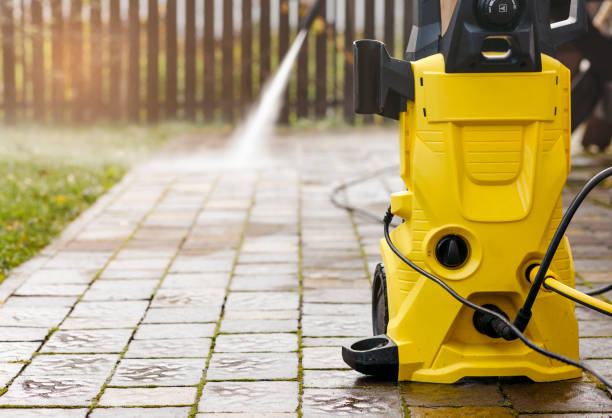 Best Roof Cleaning and Mildew Removal in De Pere, WI